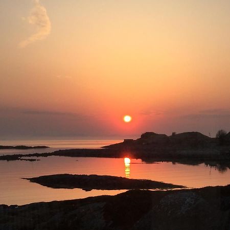 Superior Cottage With Sea View In Senja Senjehesten Luaran gambar