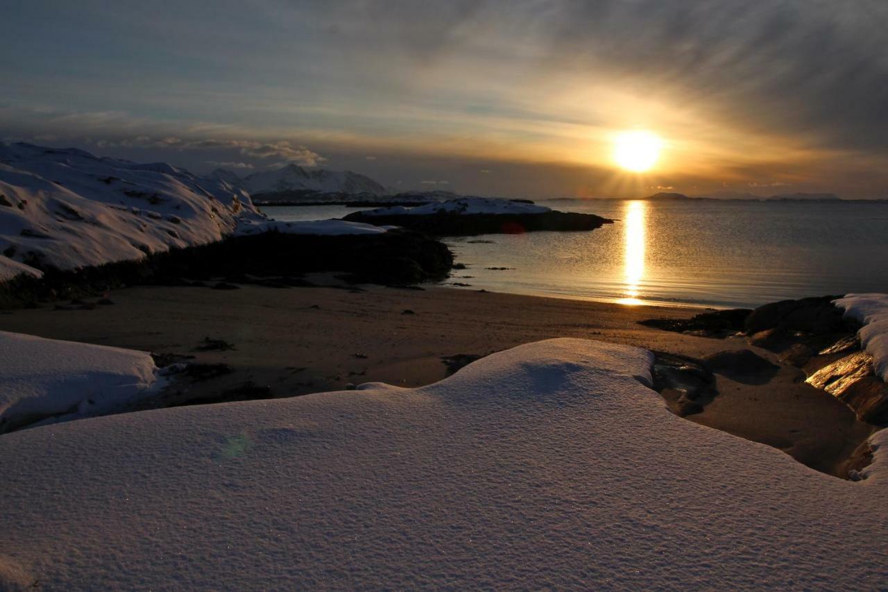 Superior Cottage With Sea View In Senja Senjehesten Luaran gambar