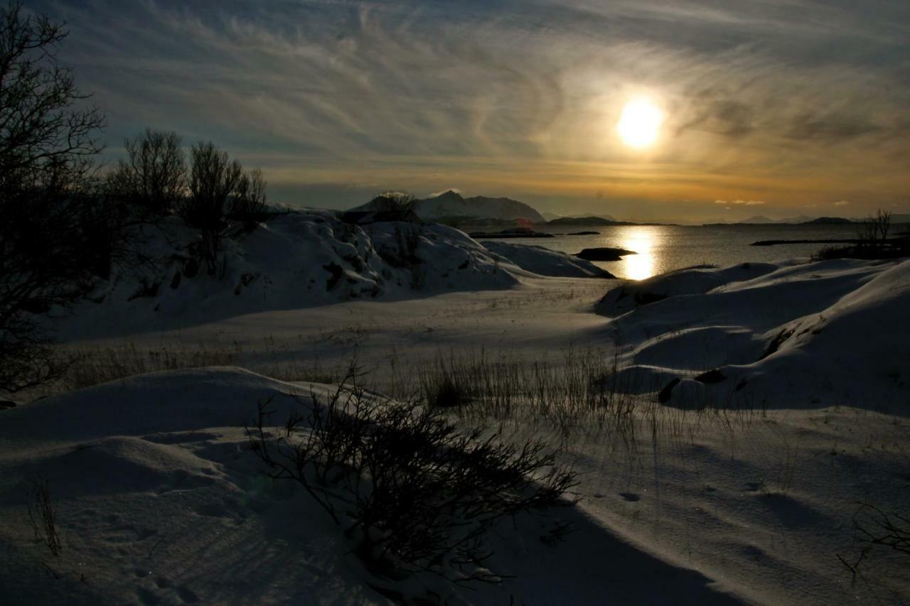 Superior Cottage With Sea View In Senja Senjehesten Luaran gambar
